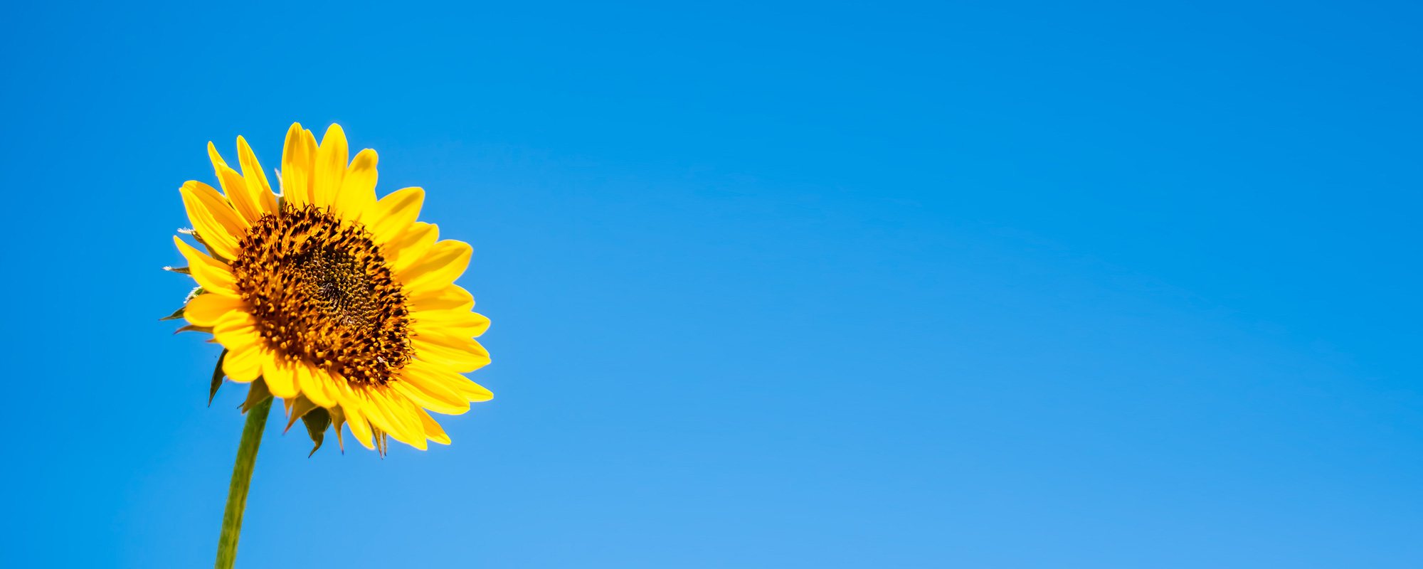 拓北・あいの里地区センターの「コミュニティ施設のあり方と利用促進」