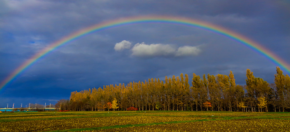 拓北・あいの里地区センター　茨戸川の虹
