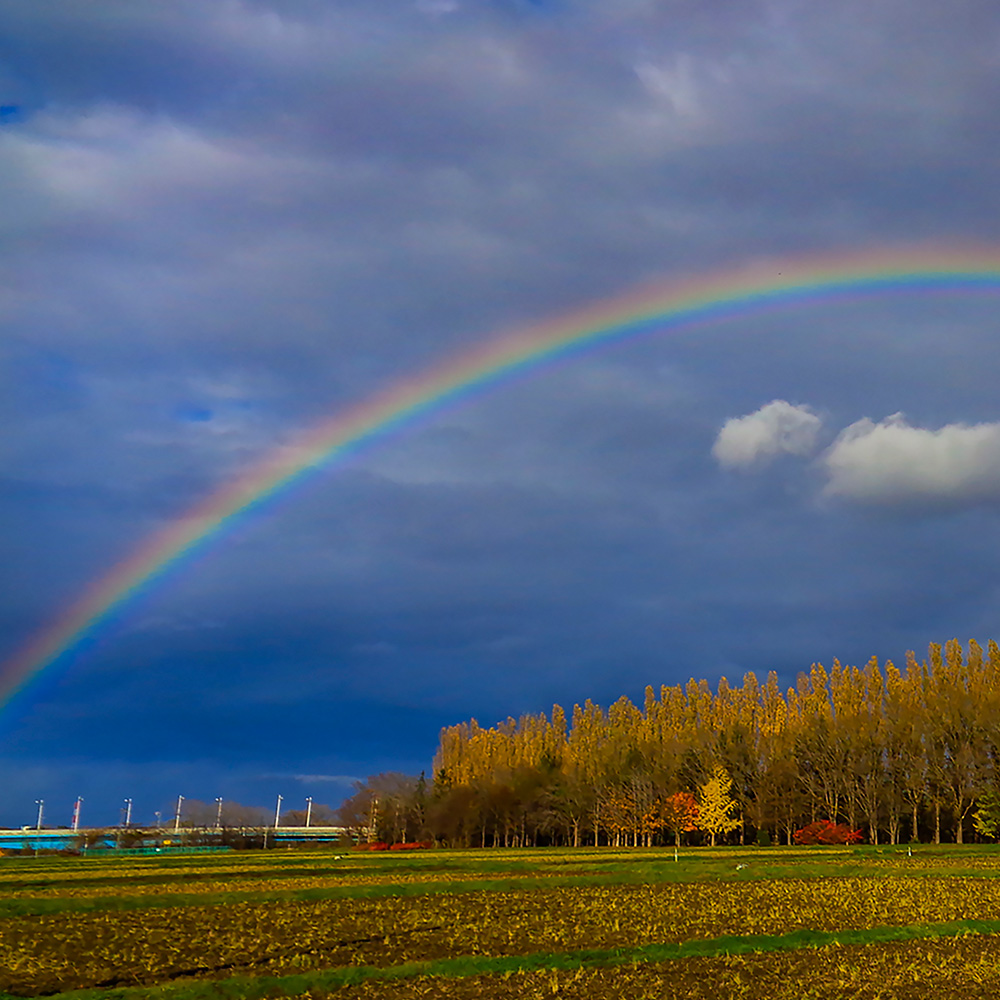 拓北・あいの里地区センター　茨戸川の虹